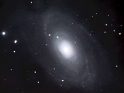 M81 (imaged by Kirby Benson)